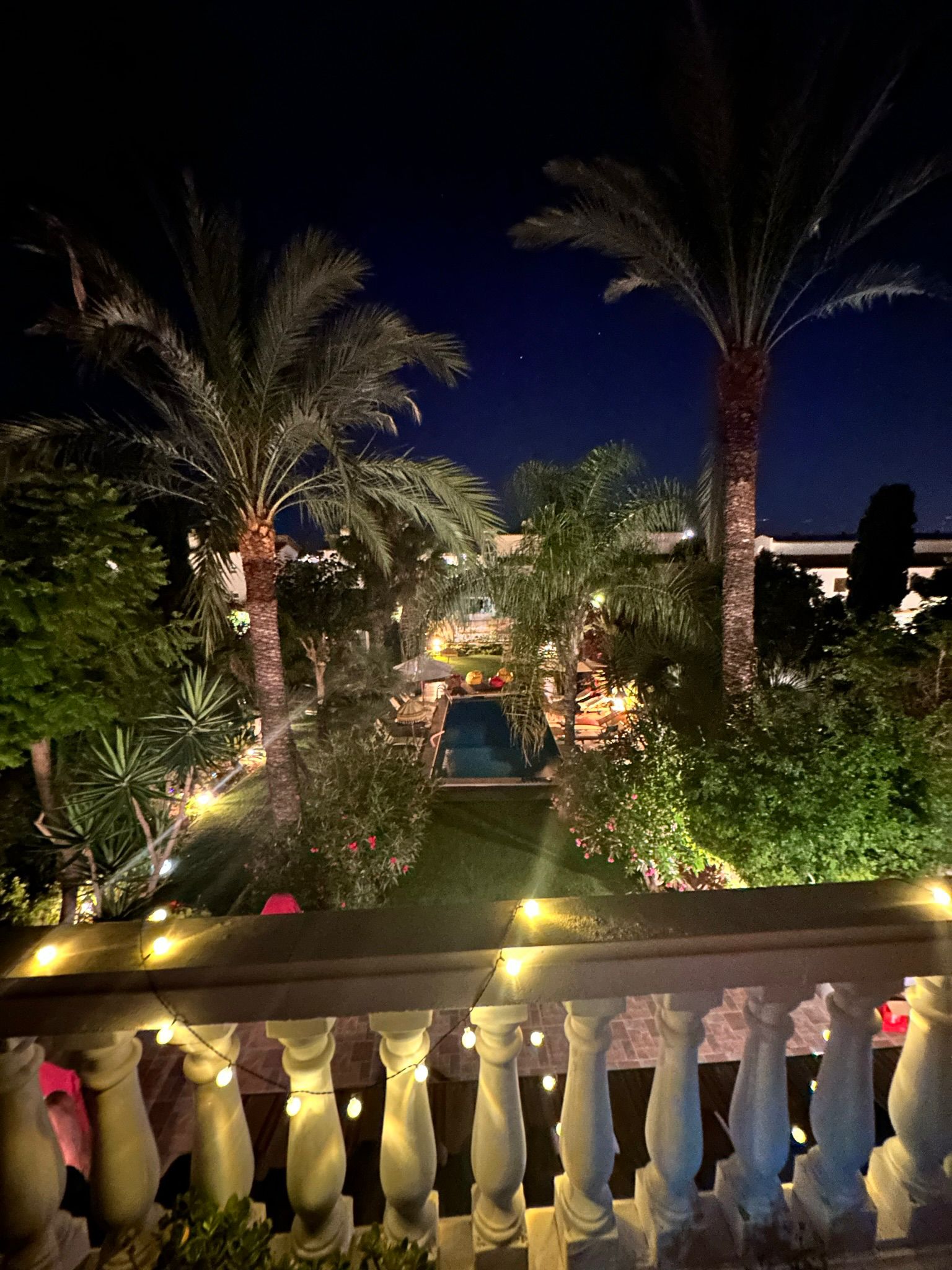 Garden view at night